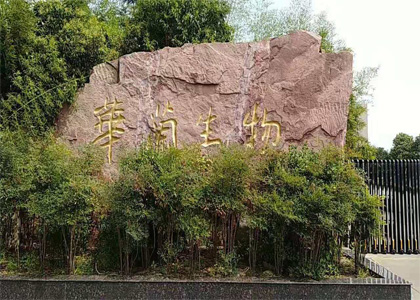 上門培訓(xùn)大流量塵埃粒子計數(shù)器華蘭生物